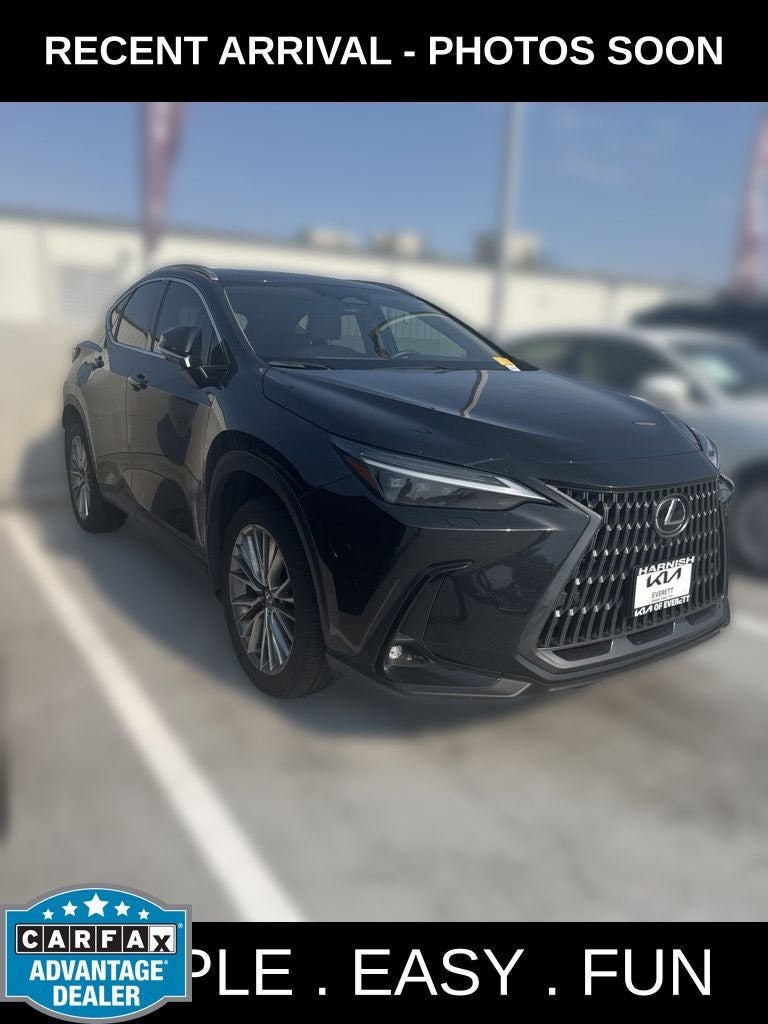 2024 Lexus NX 350h Luxury