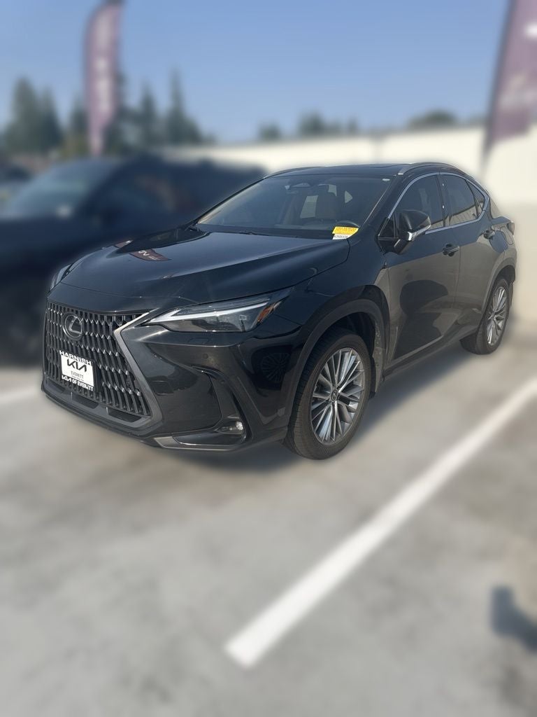 2024 Lexus NX 350h Luxury