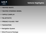 2023 Kia Niro EV Wind