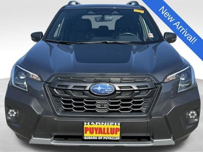 2023 Subaru Forester Wilderness